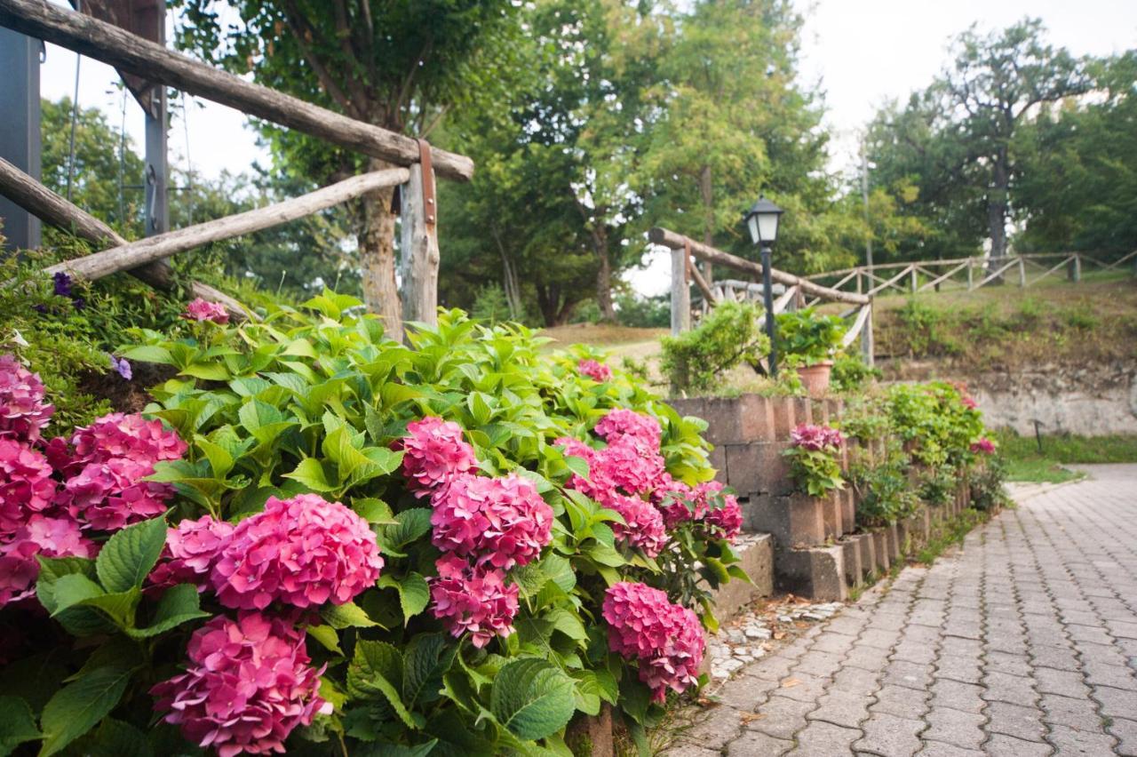 Bed and Breakfast Il Castagno Монтемонако Екстер'єр фото